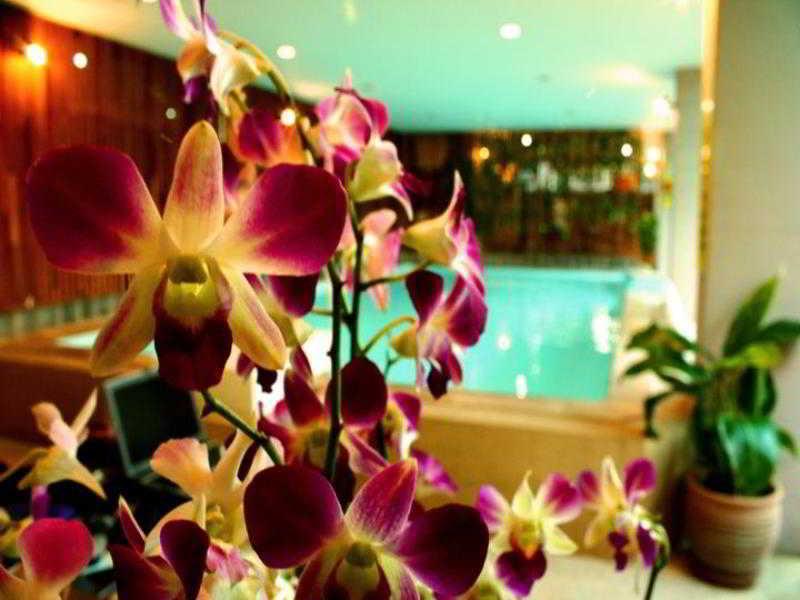 Thaphae Garden Guesthouse Чиангмай Екстериор снимка
